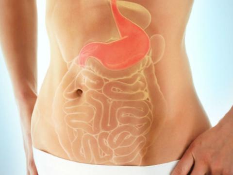 endoscopia